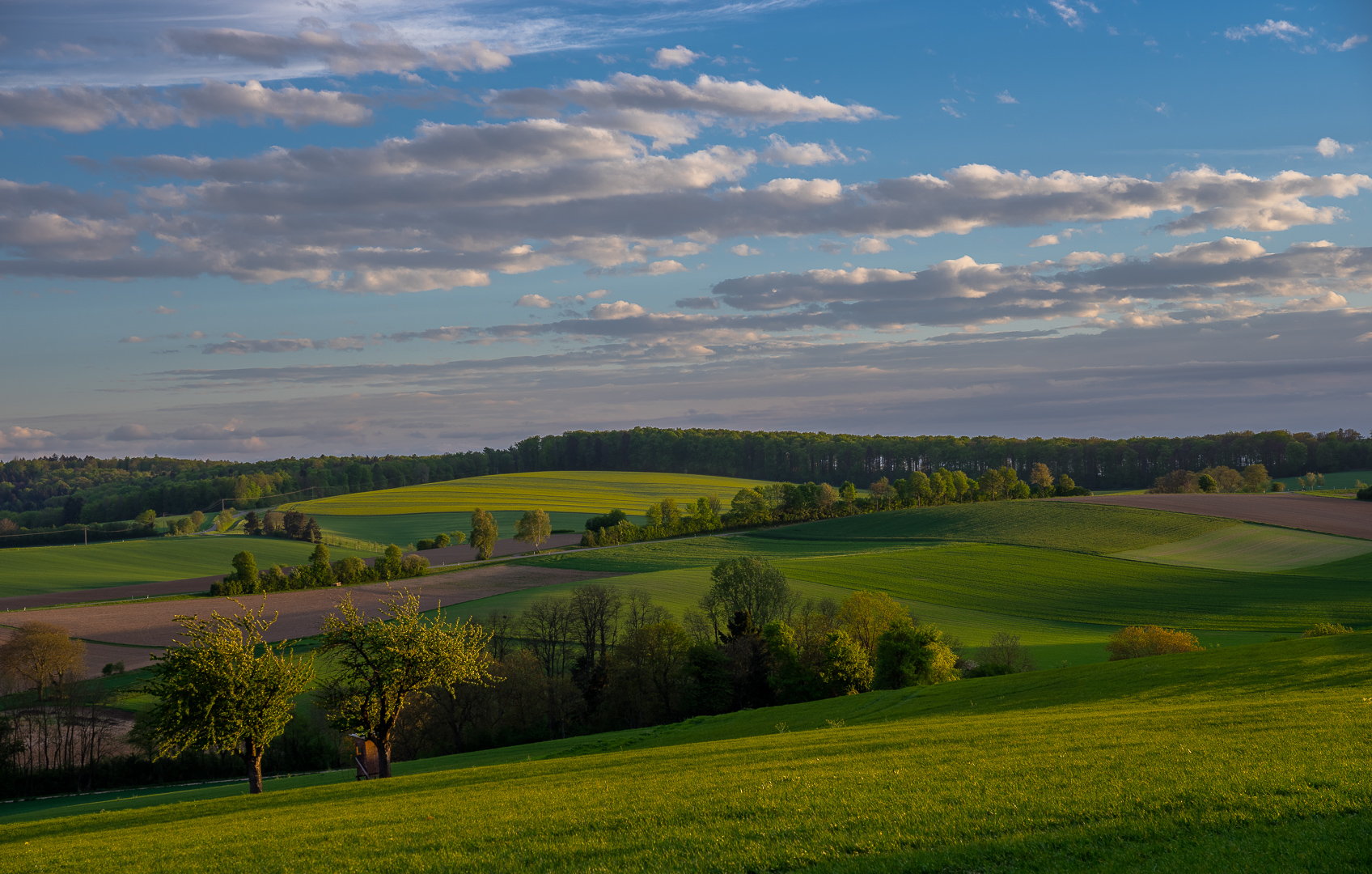 Frisches Grün