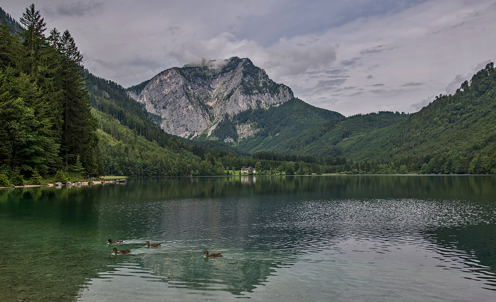 Frisches Grün am Langbathsee