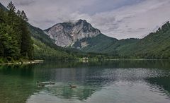 Frisches Grün am Langbathsee