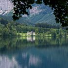 Frisches Grün am Langbathsee (2)