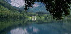 Frisches Grün am Langbathsee (2)