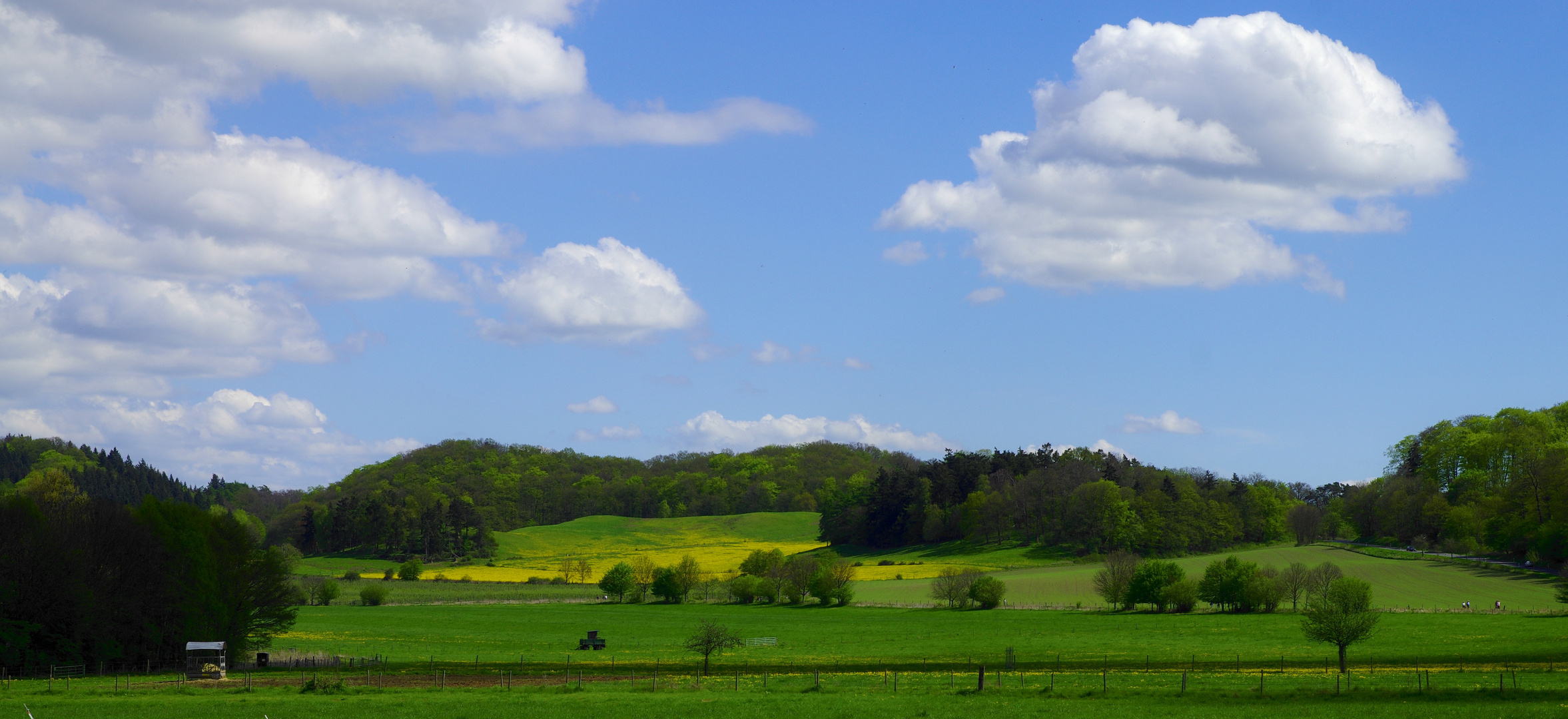 Frisches Grün