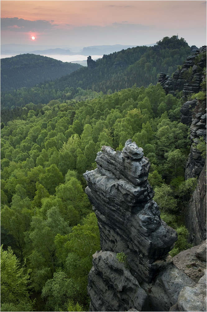 Frisches Grün...