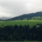 Frisches Grün in den Bergen