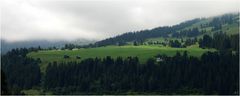 Frisches Grün in den Bergen