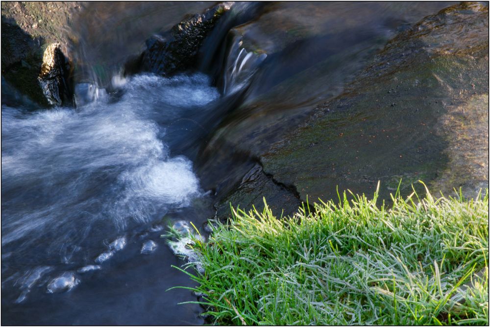 Frisches Grün trifft auf Wasser und Stein