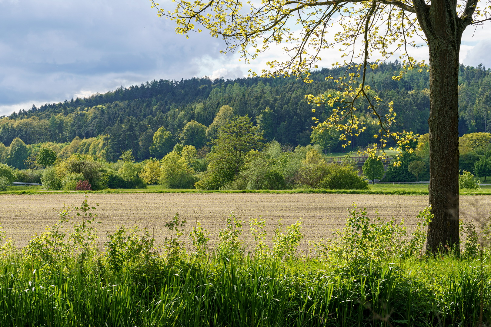 Frisches Grün und fahles Blau