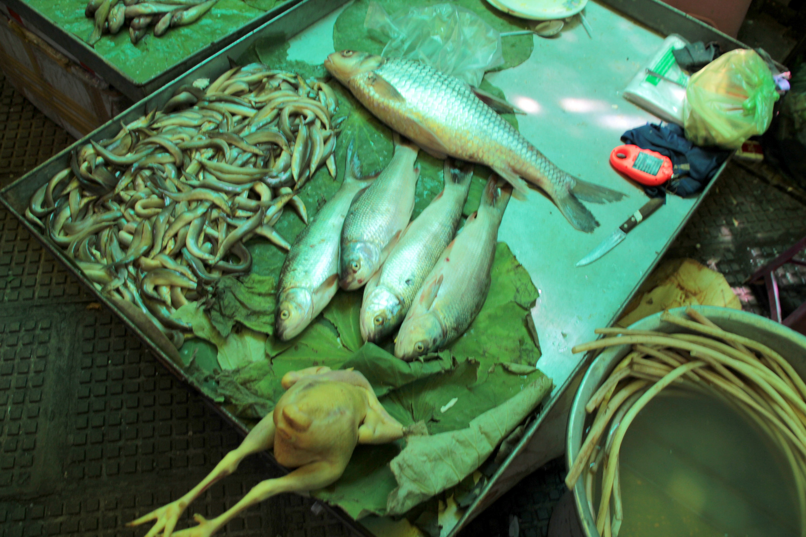 Frisches Hähnchen und frischer Fisch auf dem Central Market in Phnom Penh