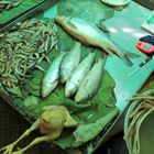 Frisches Hähnchen und frischer Fisch auf dem Central Market in Phnom Penh