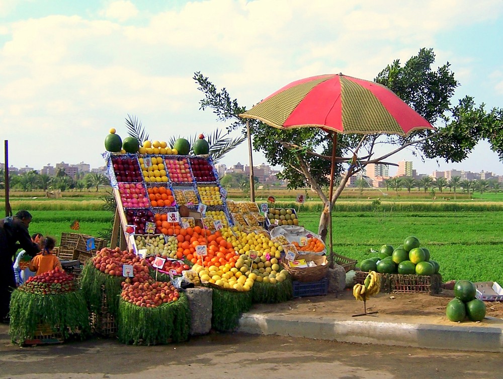 Frisches Obst an der Straße nach Kairo