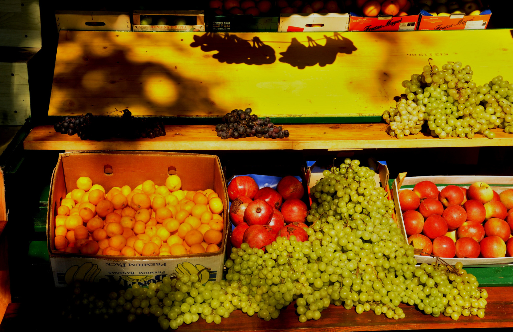 Frisches Obst uns Gemüse auf dem Markt von Bol
