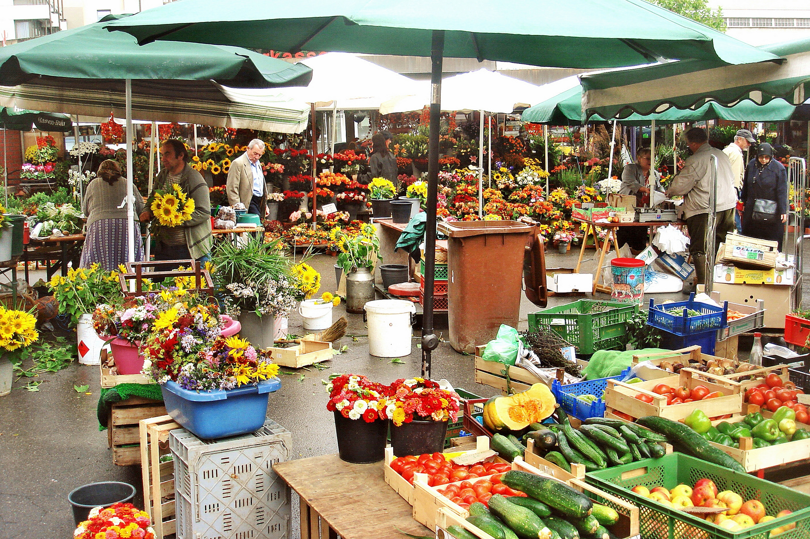 frisches vom Stadtmarkt