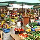 frisches vom Stadtmarkt