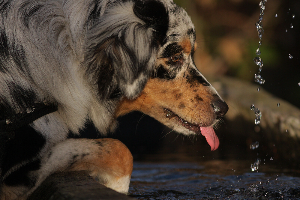 Frisches Wasser am Brunnen