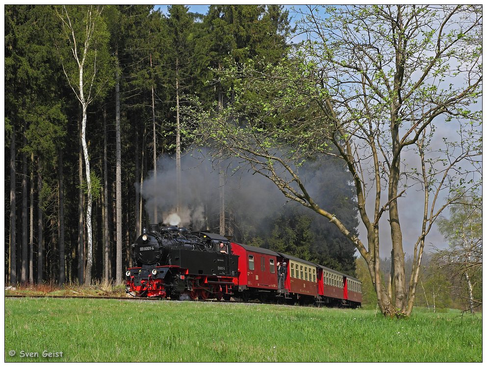 Frisches, zartes Frühlingsgrün hinter Sternhaus-Haferfeld