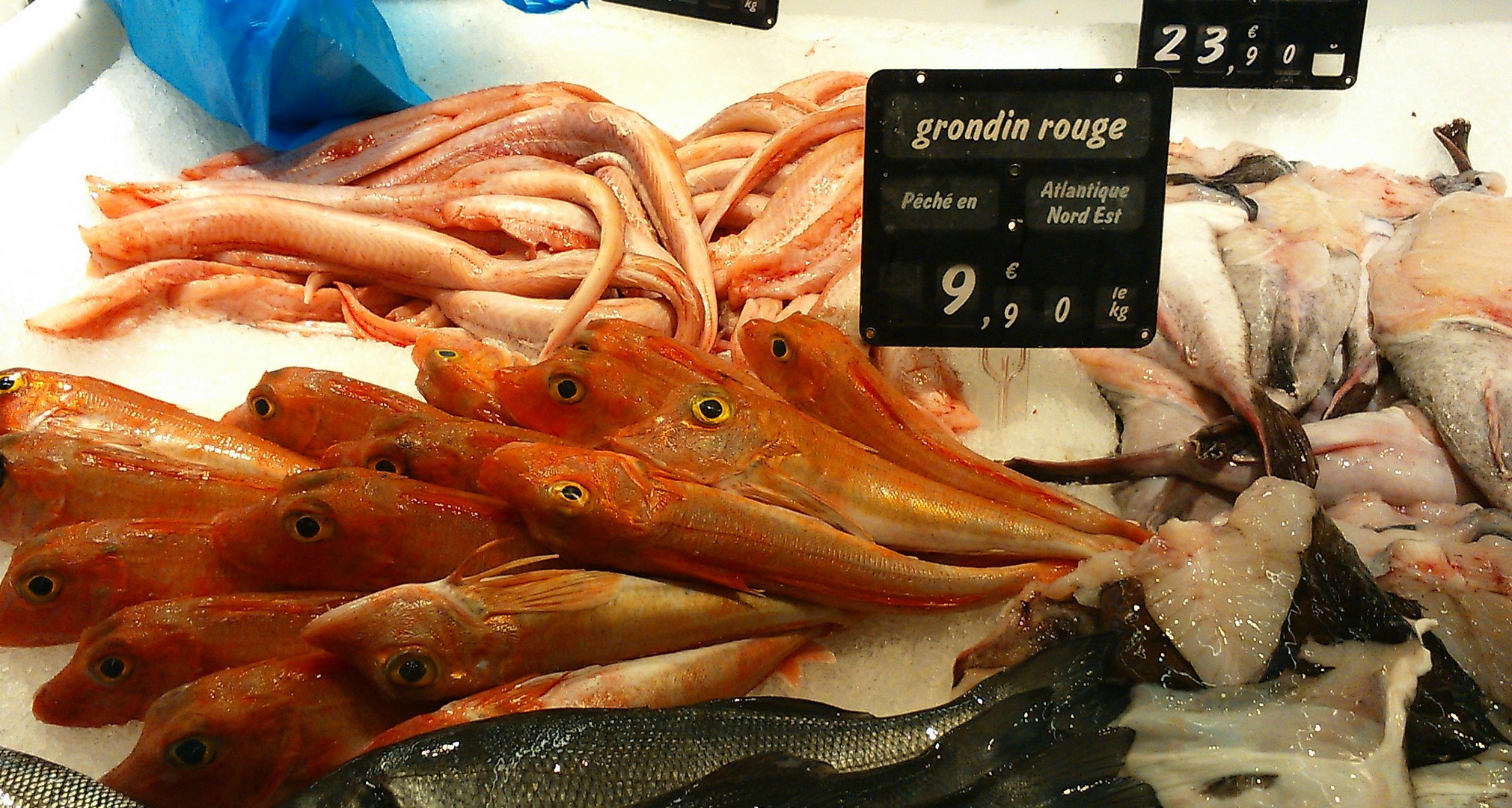 Frischfisch im Carrefour Mulhouse