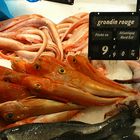 Frischfisch im Carrefour Mulhouse