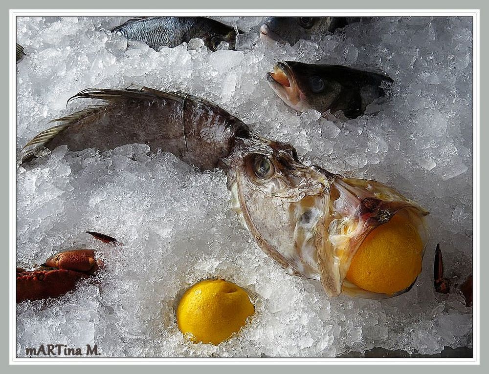 Frischfisch im Eis