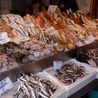Frischfisch vom Markt in Heraklion