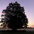 frischkalter Herbstmorgen - freshly cold autumn morning