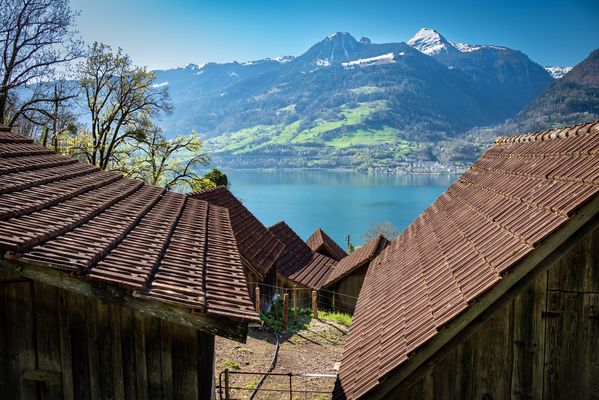 Frischluft mit Stallduft