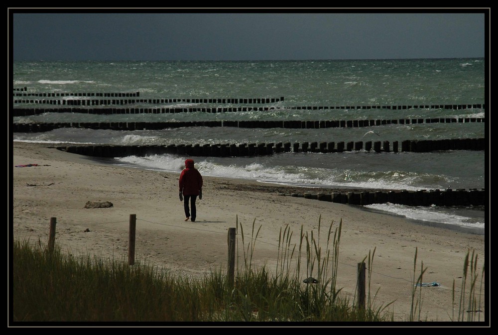 Frischluft - tanken in Ahrenshoop