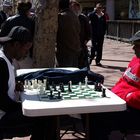 FRISCO CHESS