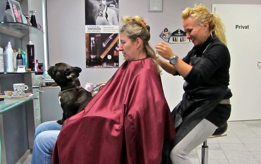 Friseurbesuch Foto & Bild | diesunddas Bilder auf fotocommunity