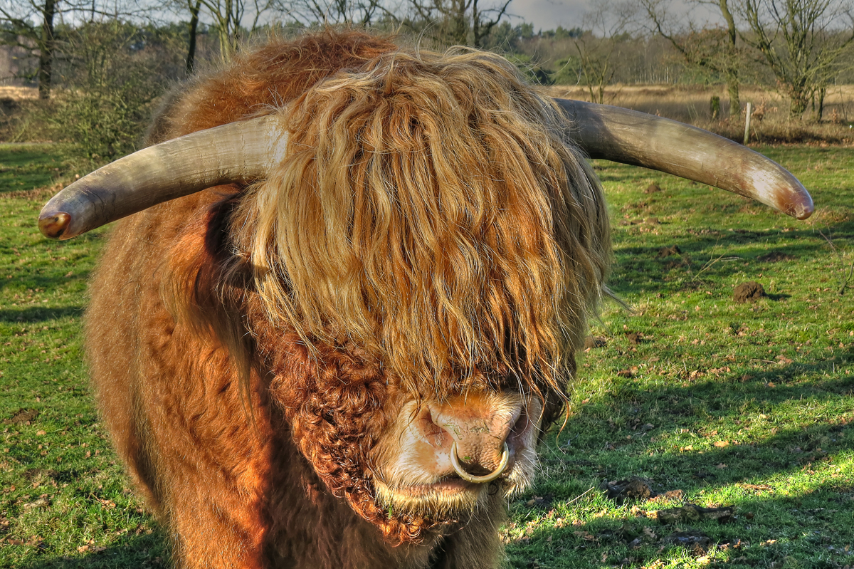 Friseurtermin verpasst !!