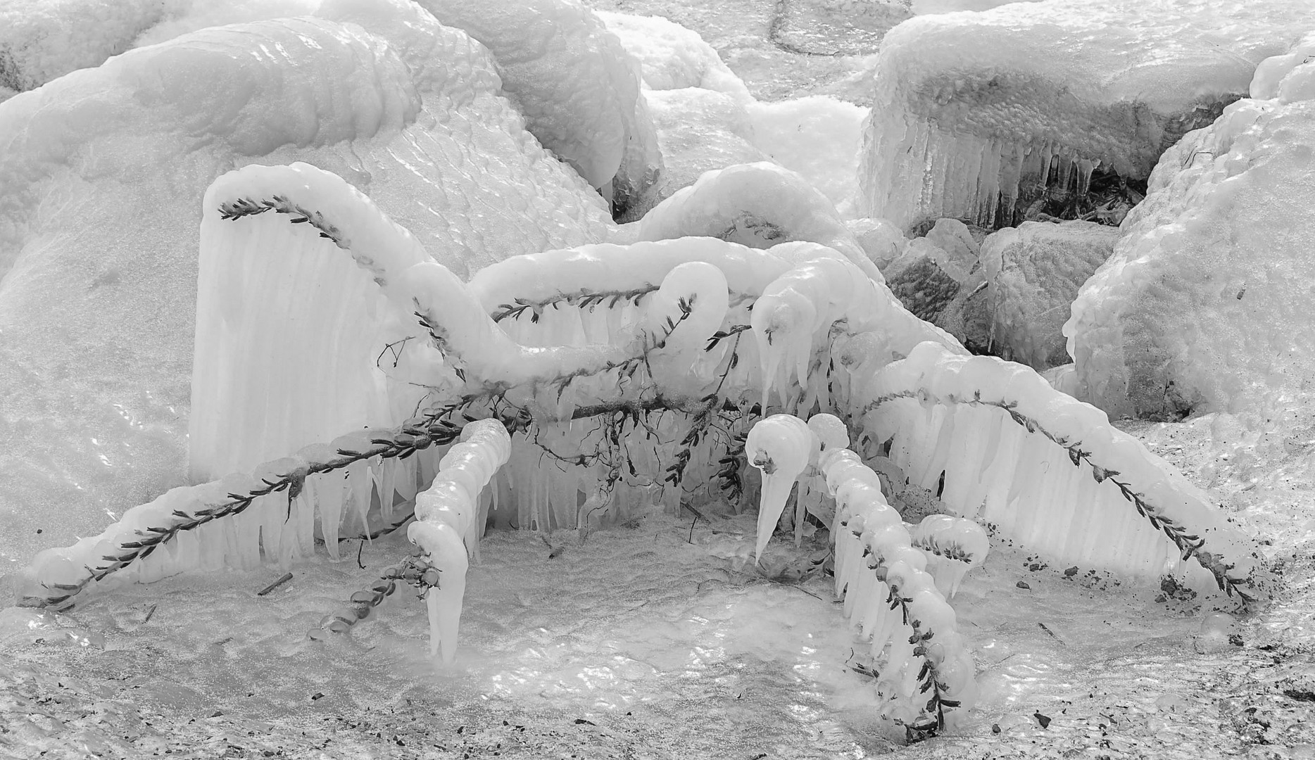 Frissons de glace