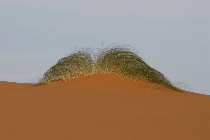 Frisur in der Wüste