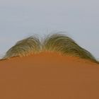 Frisur in der Wüste