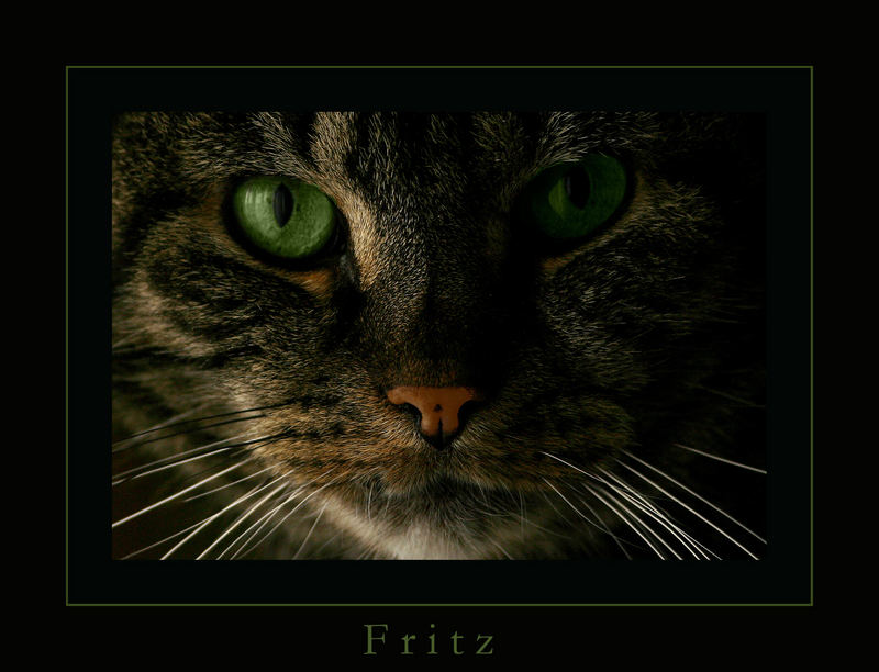 Fritz