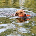 Fritz bei der Wasserarbeit