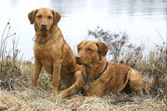 Fritz und seine Mutter Tessa