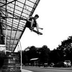 Fritz Wiemann - Ollie