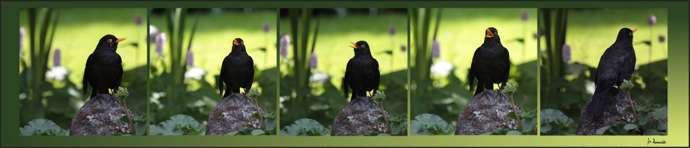 Fritzchens Abendlied