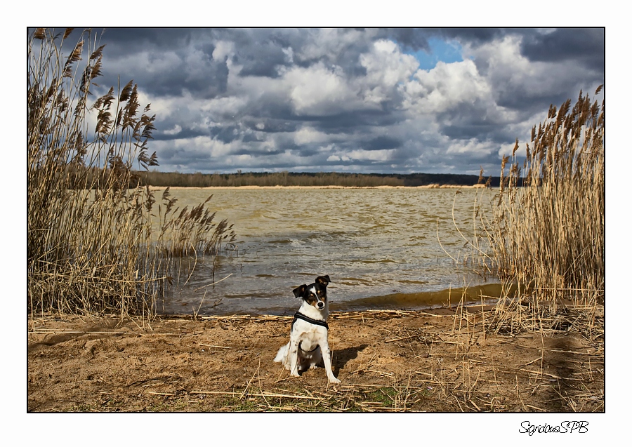 Fritzi am Stausee....