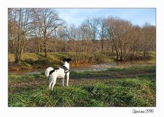 Fritzi schaut in Richtung Zukunft :-))