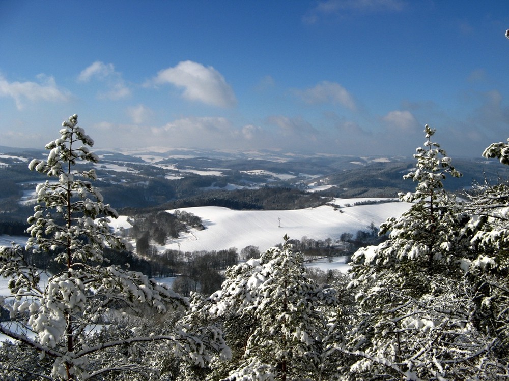 Fröbelblick