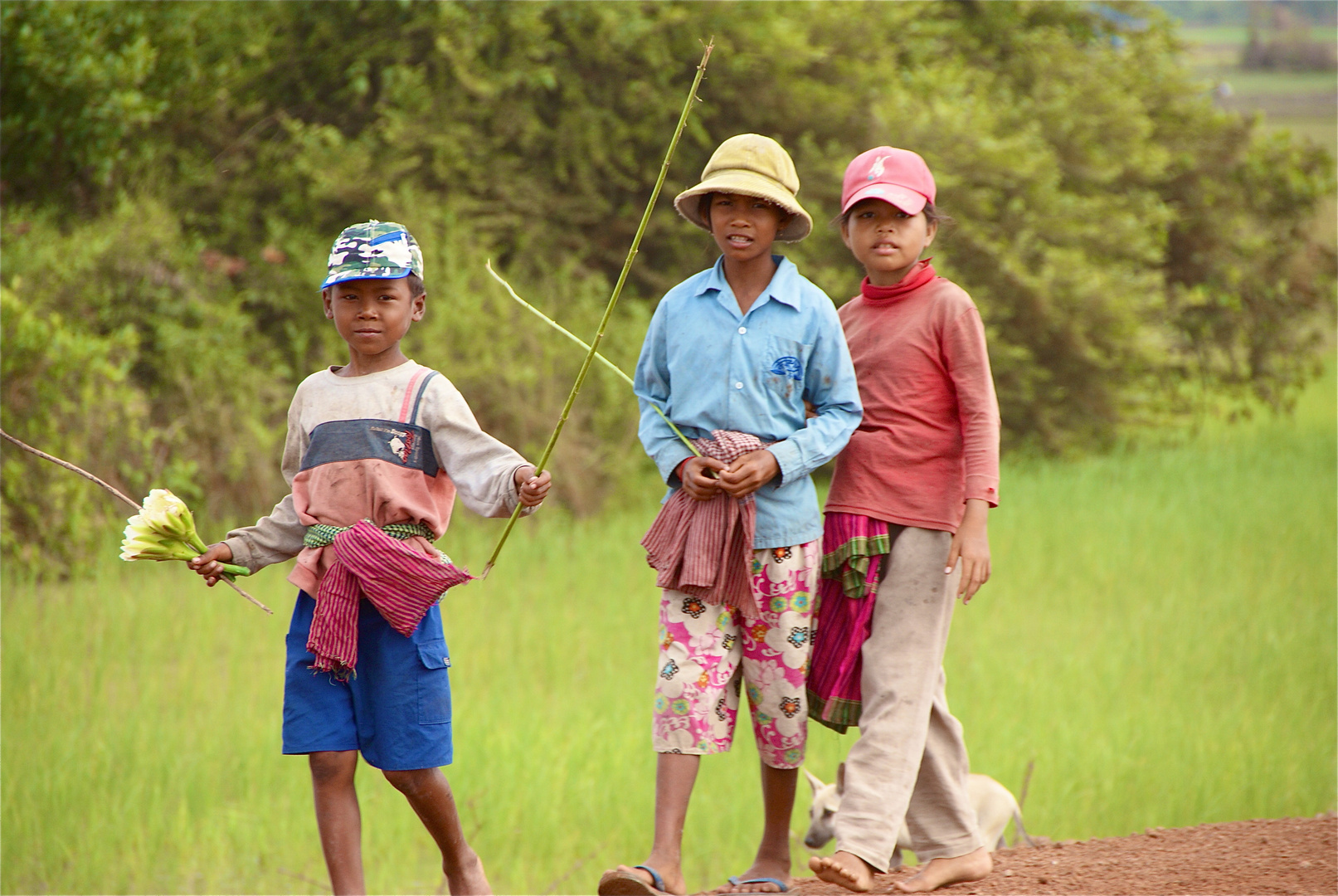 fröhlich gings zu, cambodia 2010