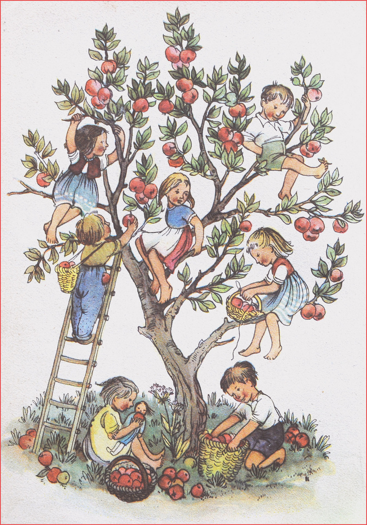 fröhliche Apfelernte