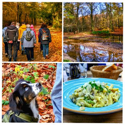Fröhliche Herbstwanderung durch Königsforst