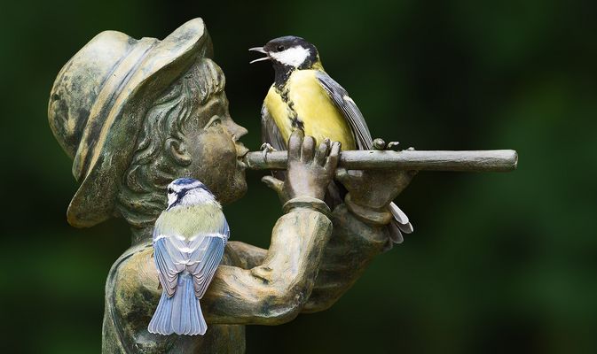 Fröhliche Musikanten