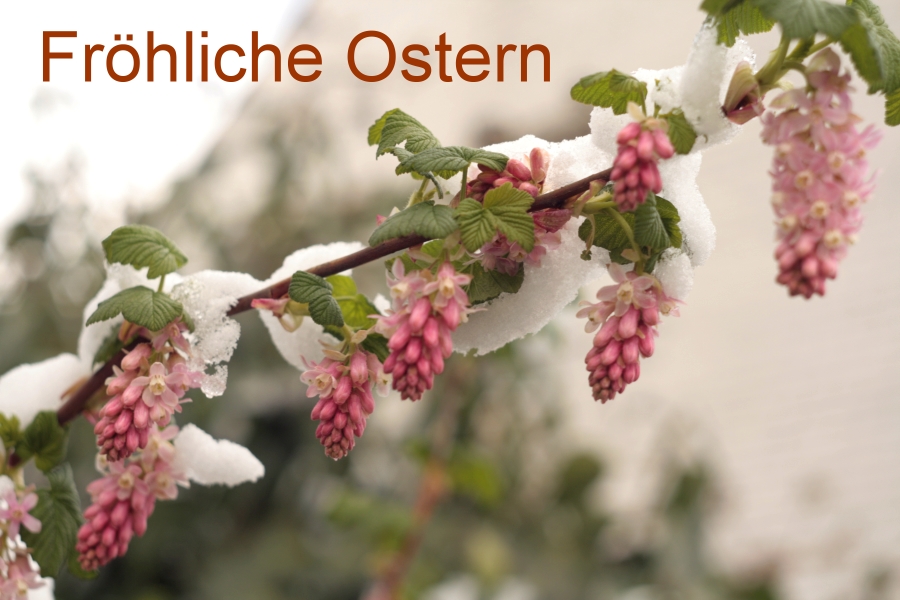 Fröhliche Ostern