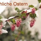 Fröhliche Ostern