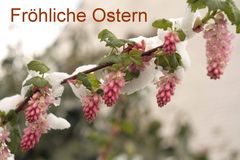 Fröhliche Ostern