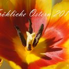 Fröhliche Ostern 2019