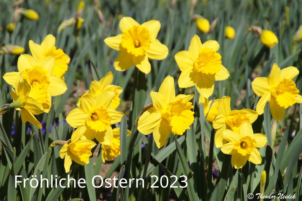 Fröhliche Ostern 2023