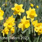 Fröhliche Ostern 2023